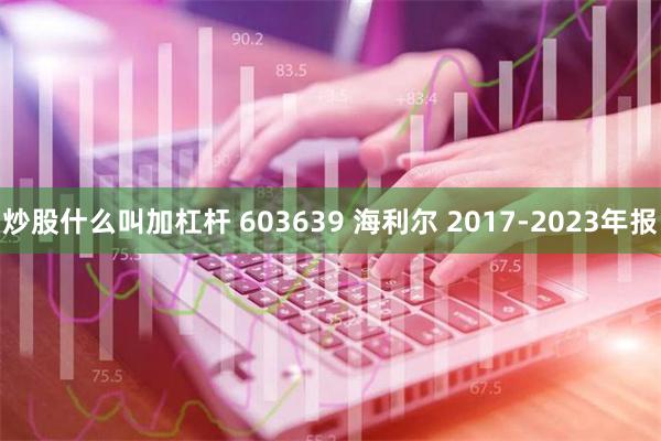 炒股什么叫加杠杆 603639 海利尔 2017-2023年报