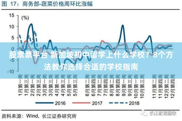 股票票平台 新加坡初中留学上什么学校？8个方法教你选择合适的学校指南