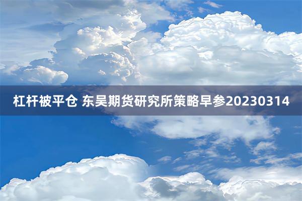 杠杆被平仓 东吴期货研究所策略早参20230314