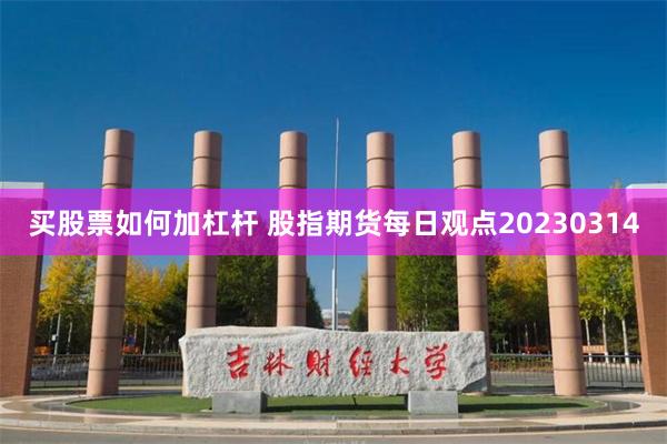 买股票如何加杠杆 股指期货每日观点20230314