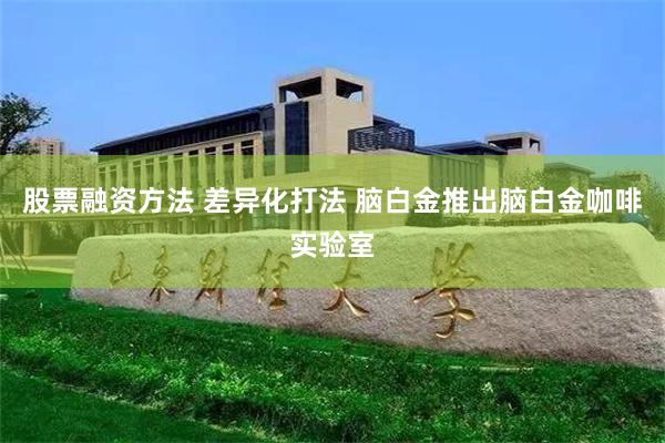 股票融资方法 差异化打法 脑白金推出脑白金咖啡实验室